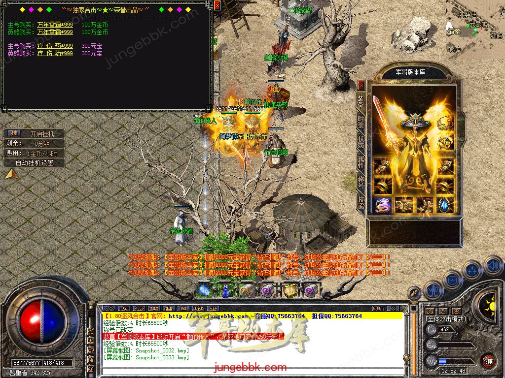 Snapshot_0034.jpg