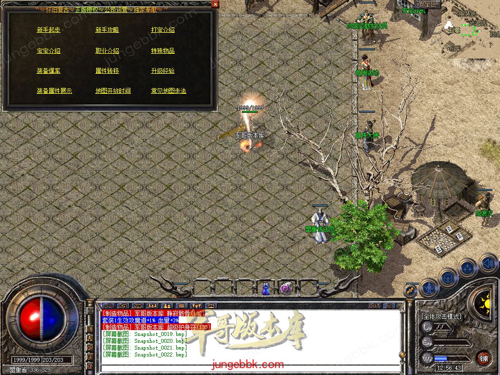 Snapshot_0023.jpg