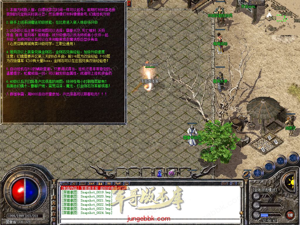 Snapshot_0025.jpg