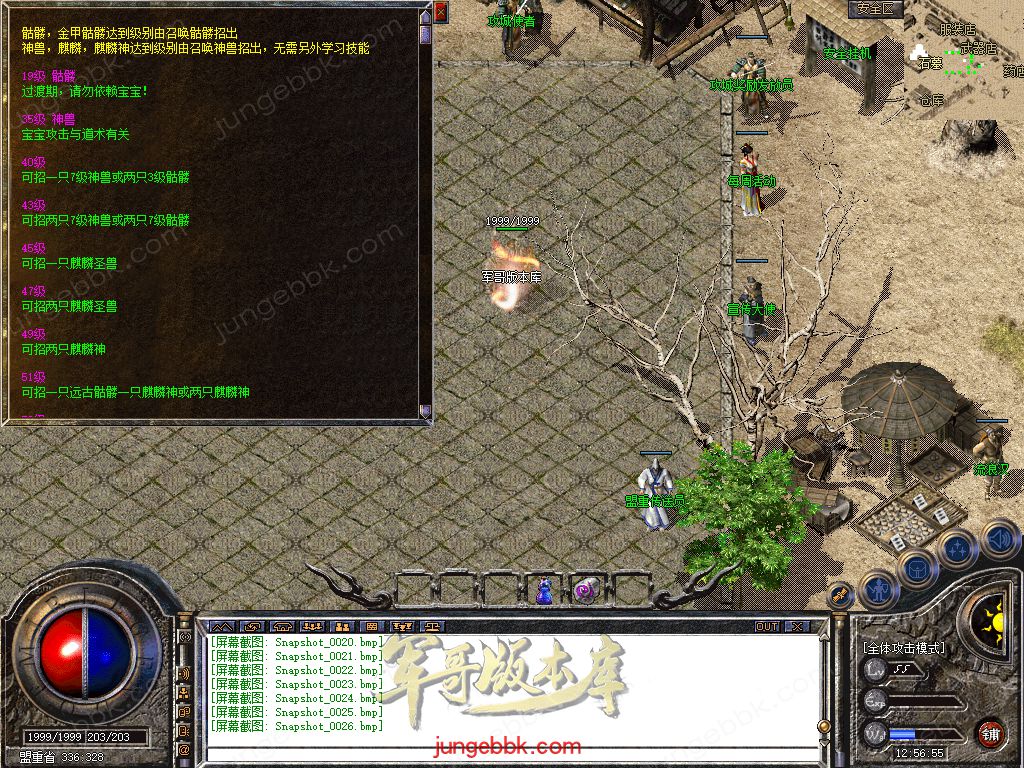 Snapshot_0027.jpg