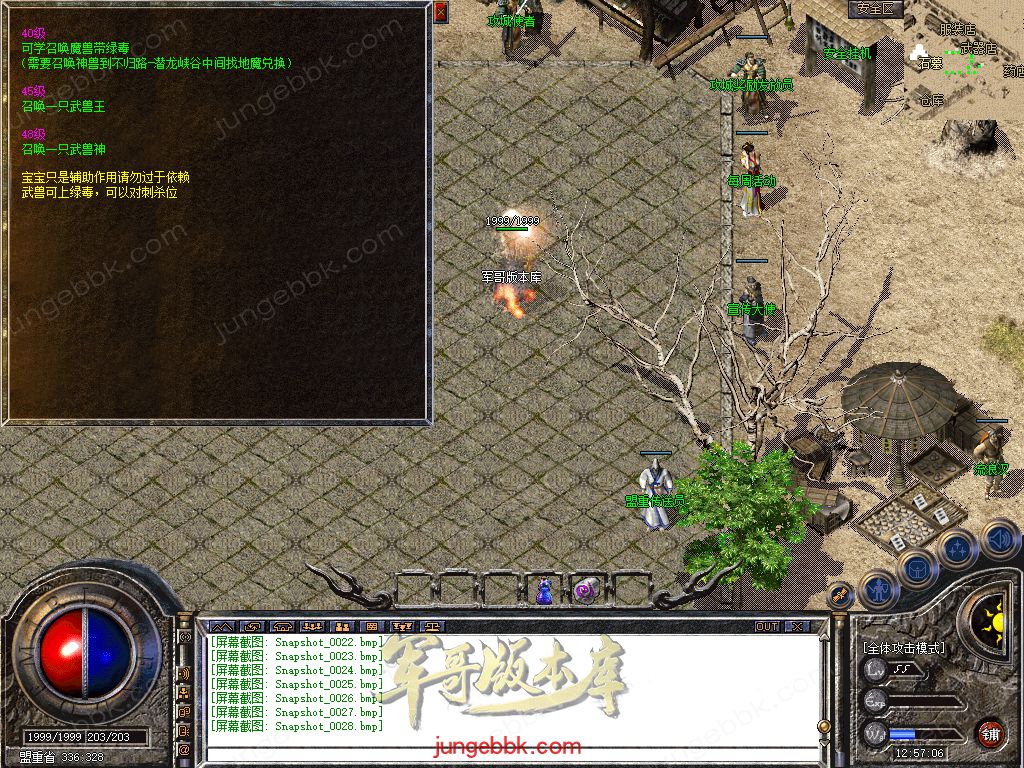 Snapshot_0029.jpg