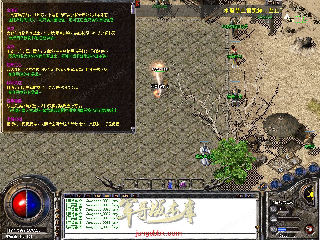 Snapshot_0031.jpg