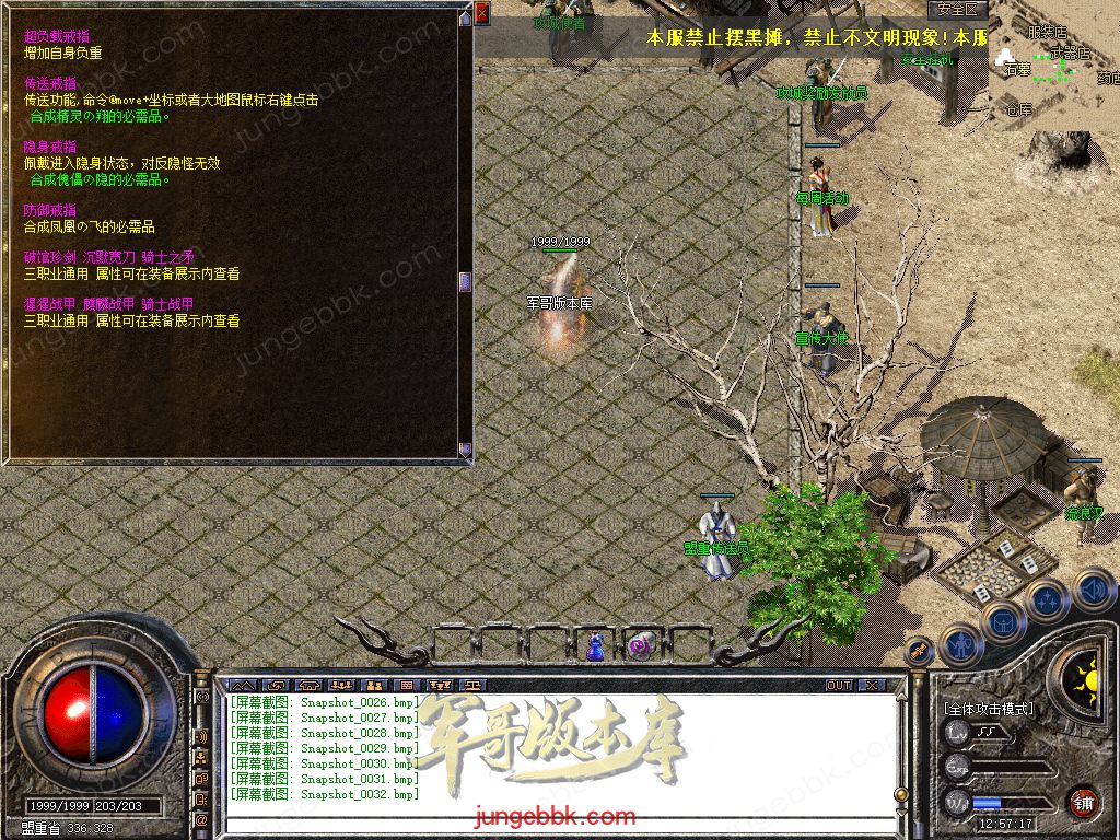 Snapshot_0033.jpg