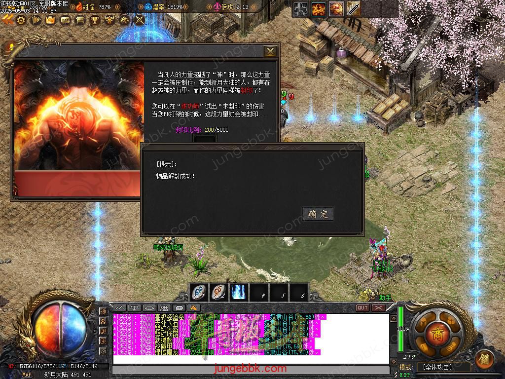 Images55.BMP
