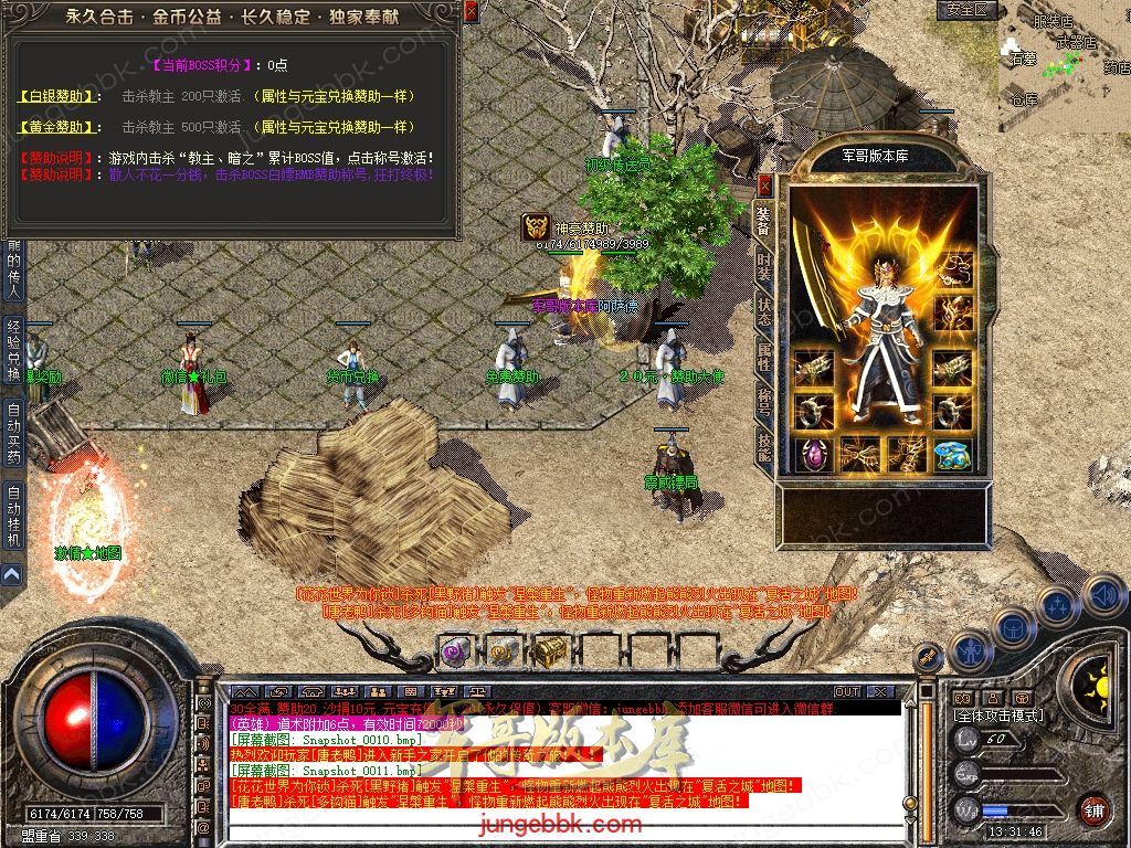 Snapshot_0012.jpg