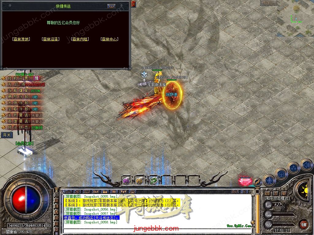 Snapshot_0059.jpg